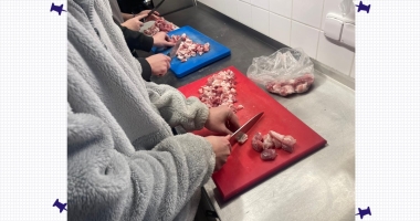 Kroužky v únoru – nové zkušenosti a praktická výuka
