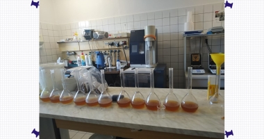 Odborná stáž pro pedagogické pracovníky ve firmě Orkla Foods  20. – 22. 5. 2026